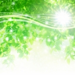 ライバル潰しと草刈り場