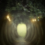 新入社員を伸ばす上司と潰す上司